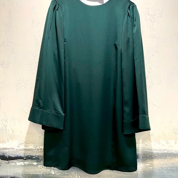 Shift Dress with Ruffle open back - Picture 2 of 8